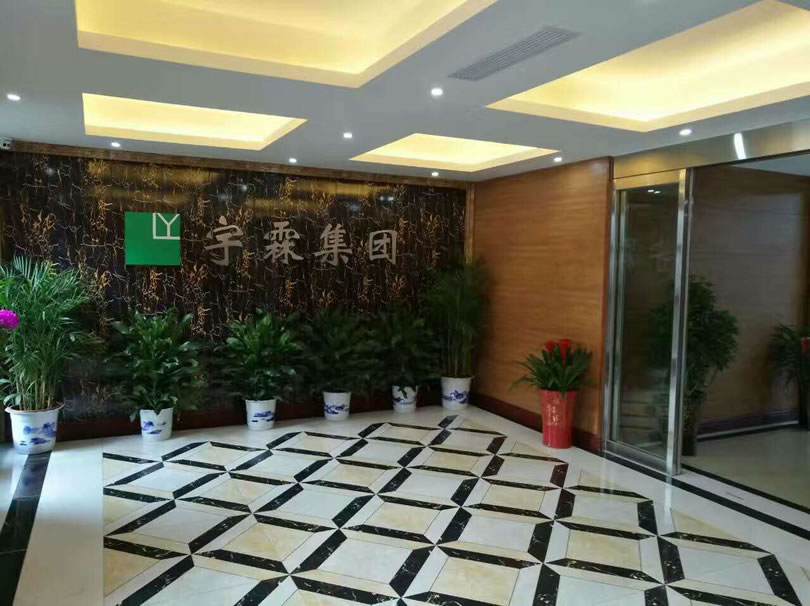 雷锋大道宇霖集团新办公楼