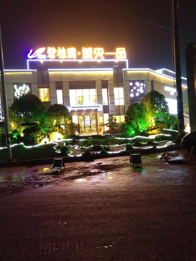 攸县城央一品亮化工程项目案例